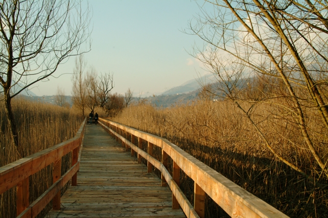 Riserva Regionale Lago di Posta Fibreno